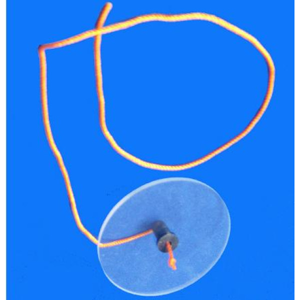 Tấm nhựa cứng (CSVL2058)